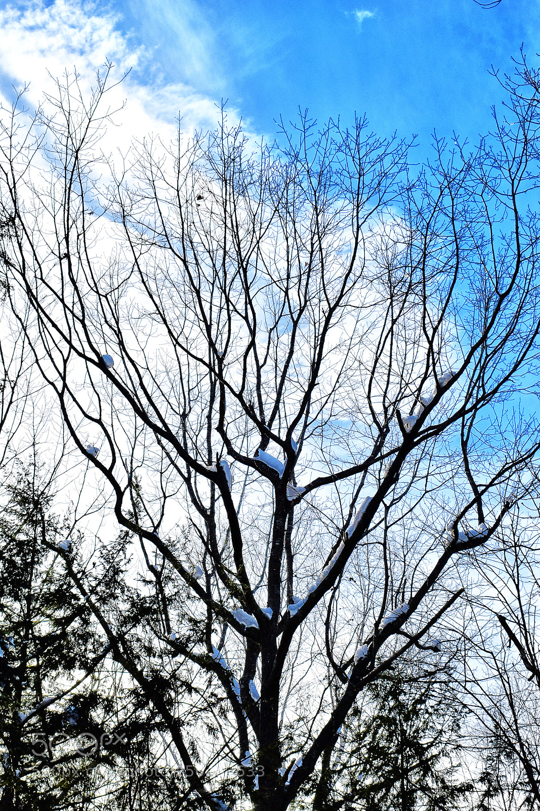 Nikon D3300 sample photo. Untitled photography
