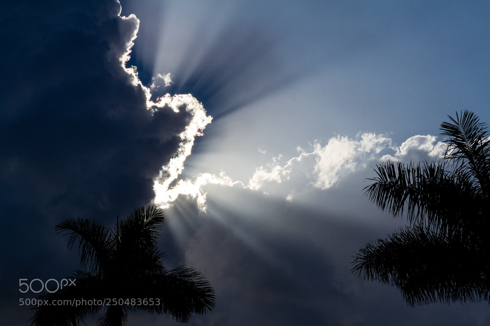 Canon EOS 7D sample photo. Breaking through photography