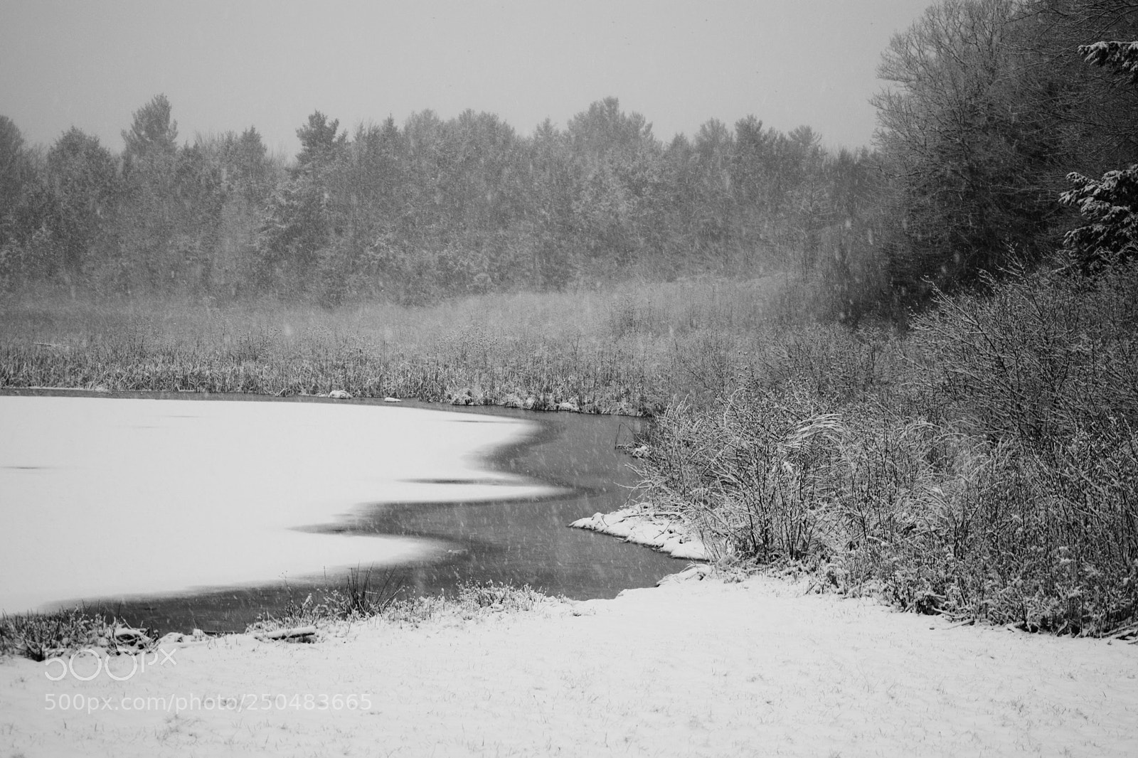 Nikon D3300 sample photo. Winter pond photography
