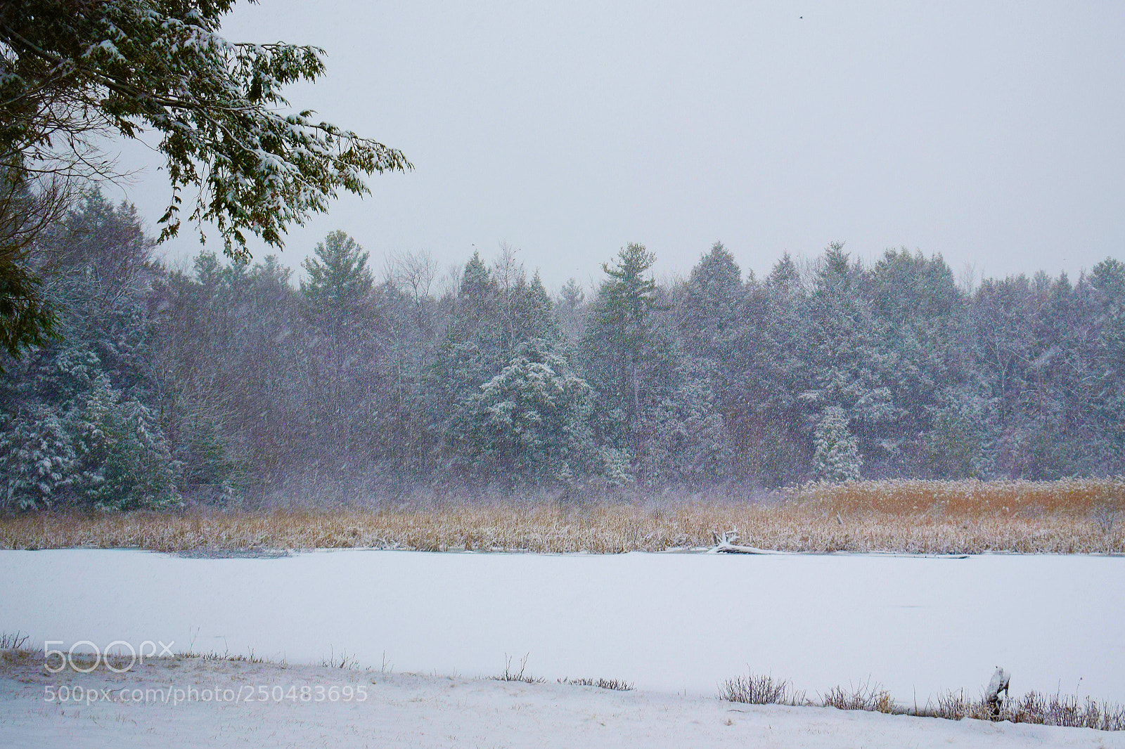 Nikon D3300 sample photo. Untitled photography