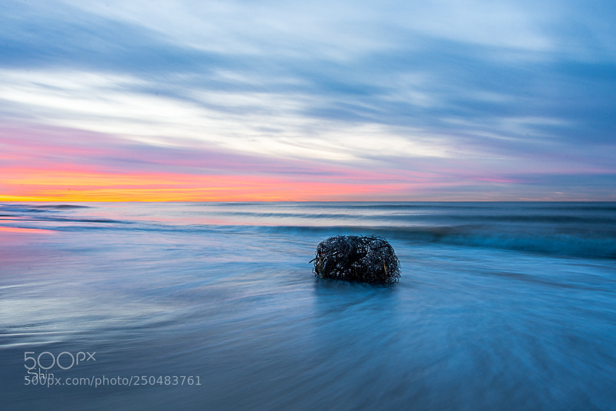 Nikon D7200 sample photo. Lonely beach sunrise photography