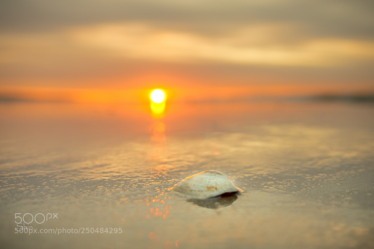 Nikon D7200 sample photo. Lonely beach sunrise photography