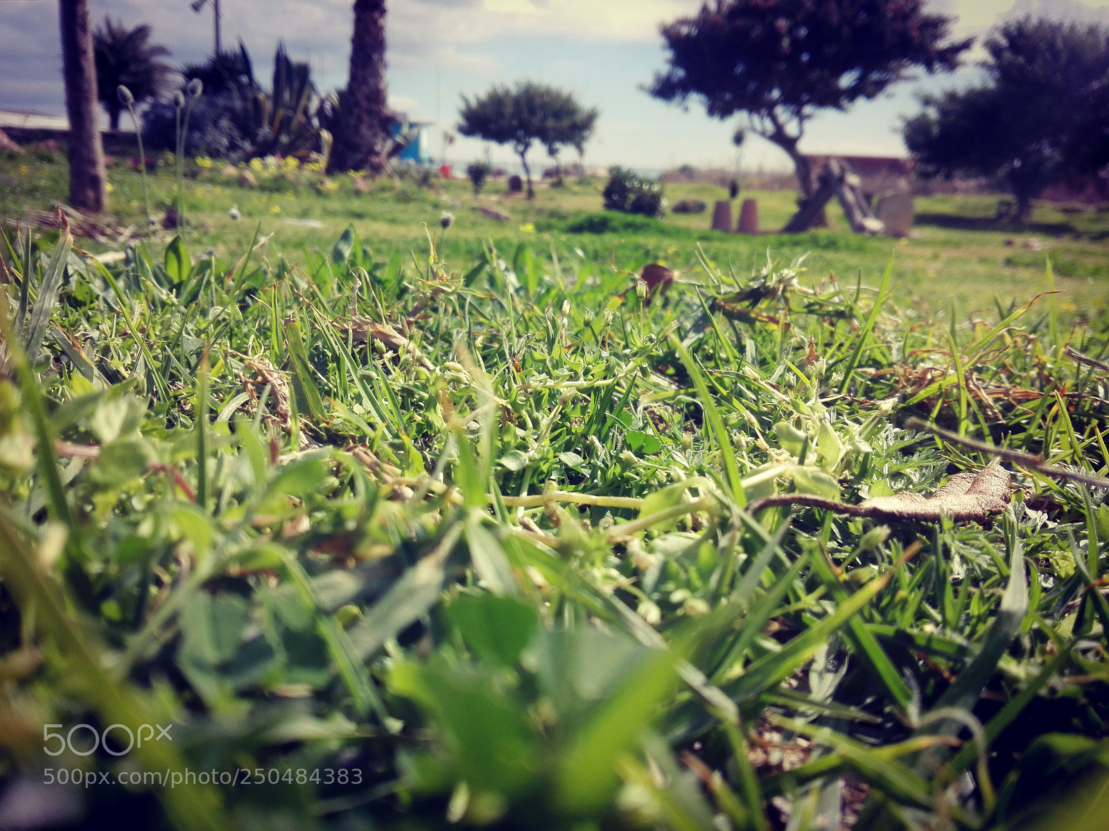 HUAWEI P8 Lite sample photo. Img_20180220_132224.jpg photography