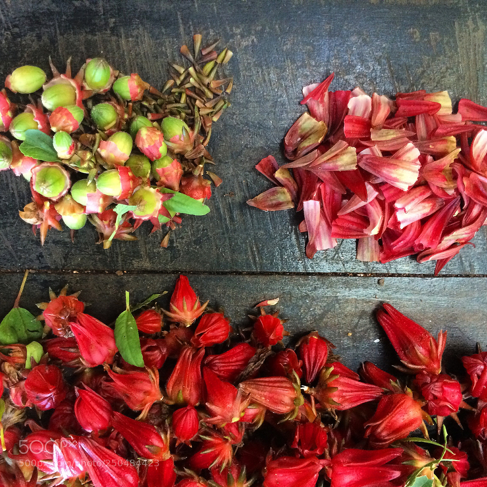 Apple iPhone 5s sample photo. Red hibiscus pieces photography