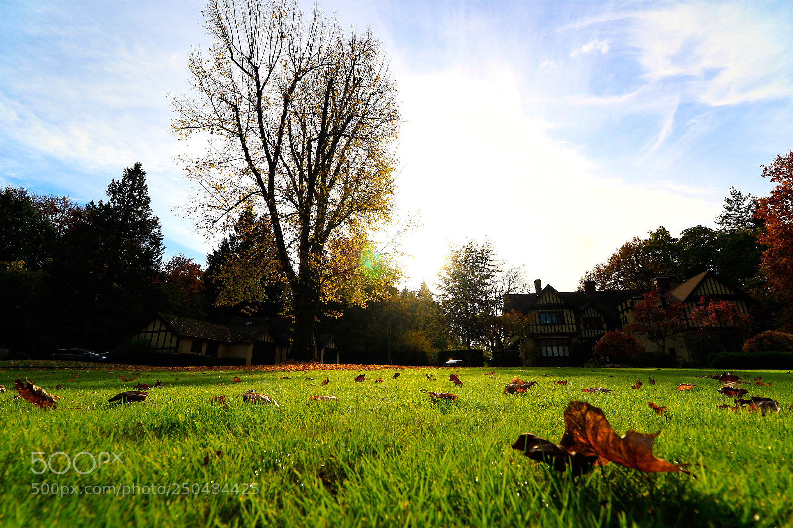 Canon EOS 7D Mark II sample photo. Untitled photography