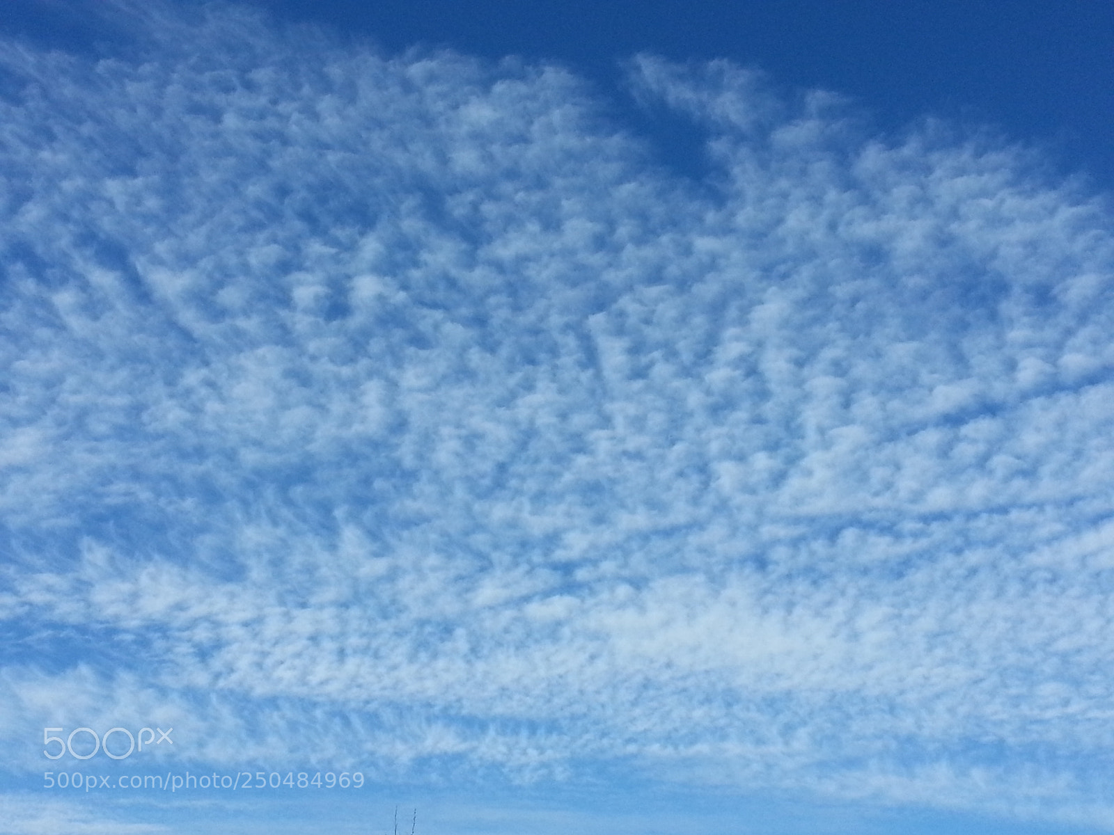 Samsung Galaxy S3 sample photo. 20150609_083531.jpg photography