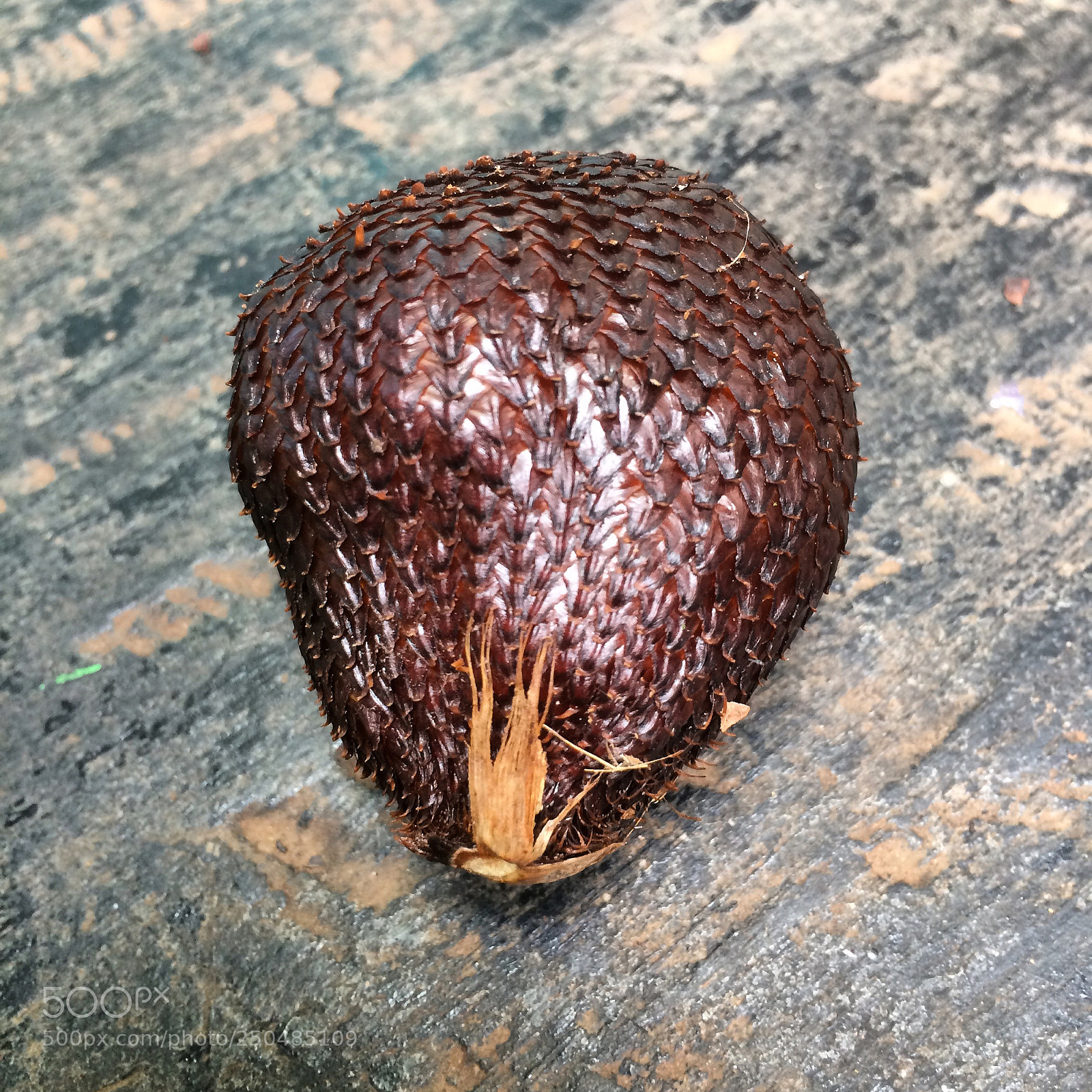 Apple iPhone 5s sample photo. Salek / snake fruit photography