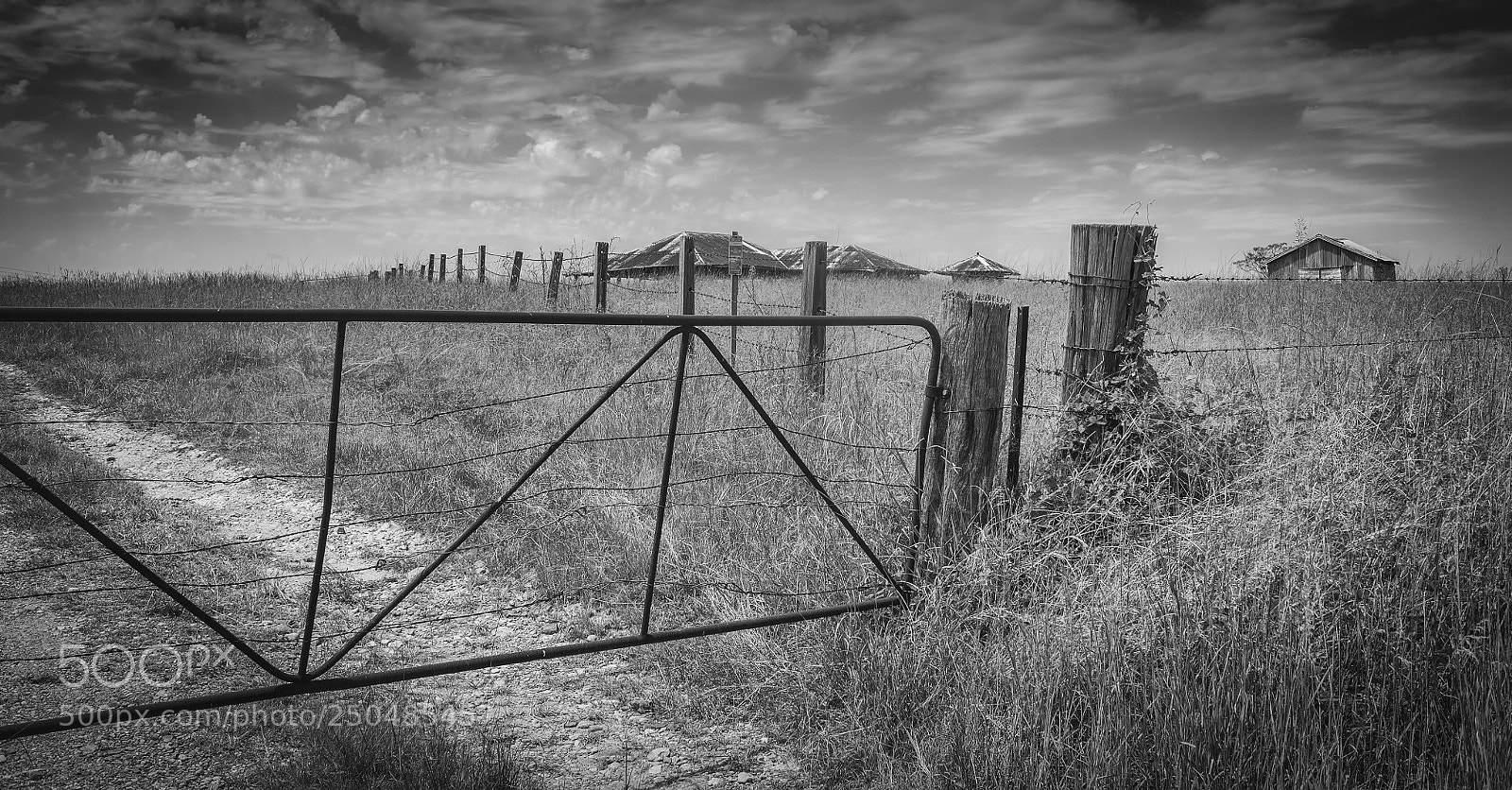 Nikon D700 sample photo. 700_3469-edit-edit-1.jpg photography