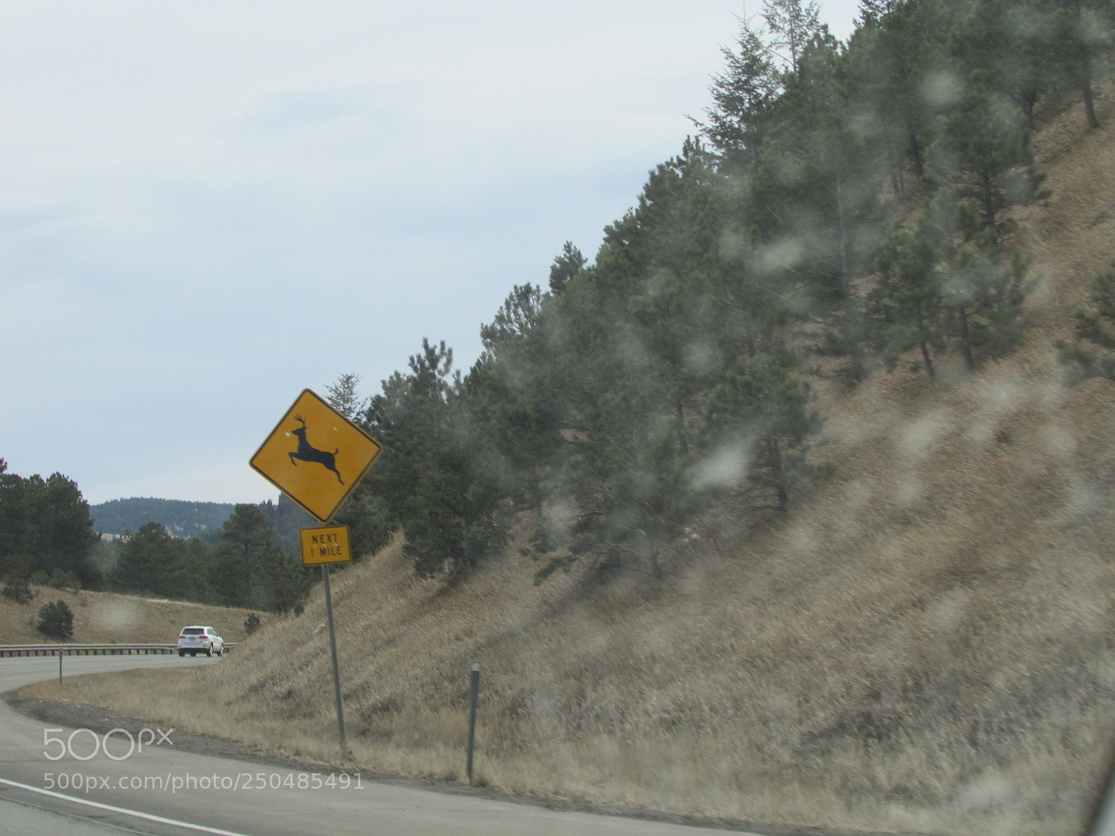 Canon PowerShot SX500 IS sample photo. Img photography
