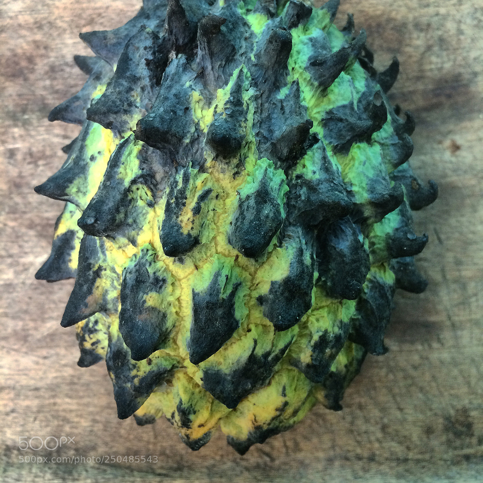 Apple iPhone 5s sample photo. Dragons photography