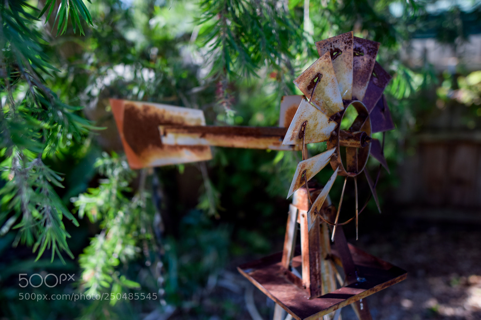 Nikon D3300 sample photo. Rusty windmill photography
