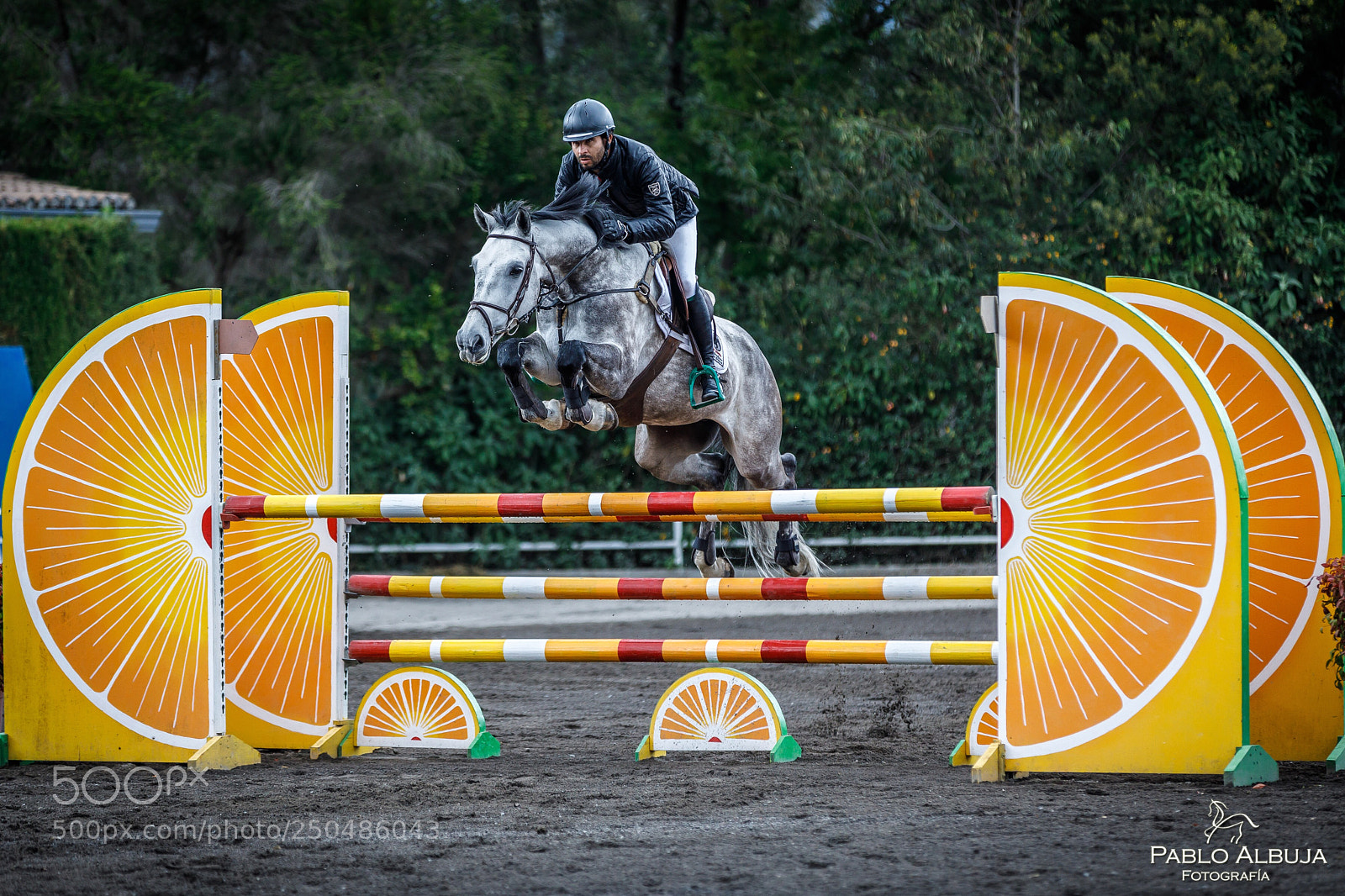 Canon EOS 5D Mark IV sample photo. Oranges jump photography