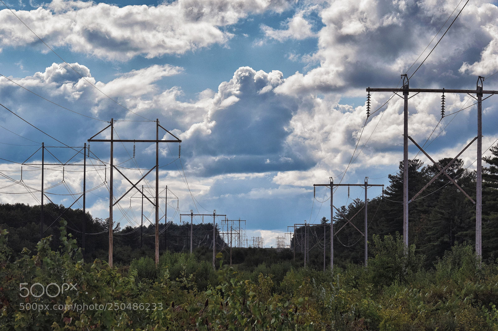 Nikon D3300 sample photo. Powerlines photography