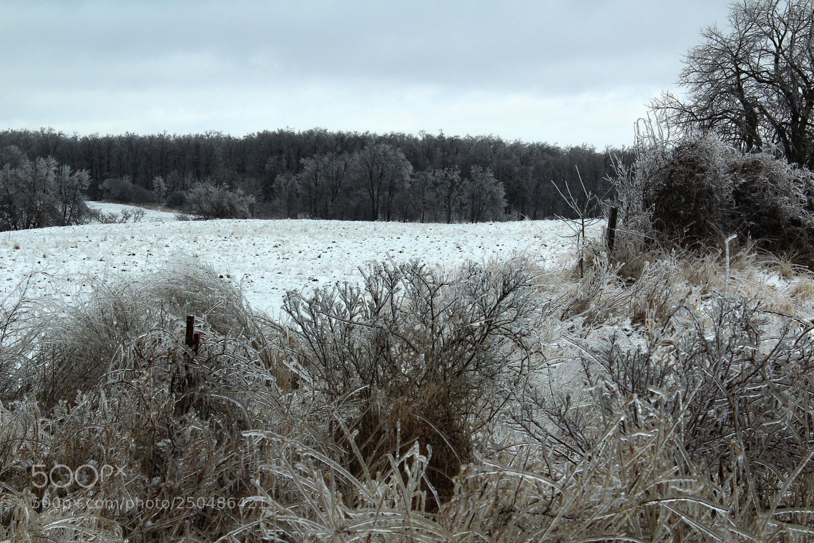 Canon EOS 1200D (EOS Rebel T5 / EOS Kiss X70 / EOS Hi) sample photo. Ice cold photography