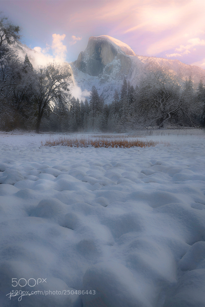 Sony a7R II sample photo. 50 and half dome photography