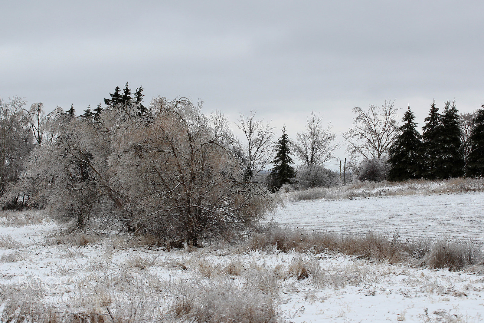 Canon EOS 1200D (EOS Rebel T5 / EOS Kiss X70 / EOS Hi) sample photo. Ice cold photography