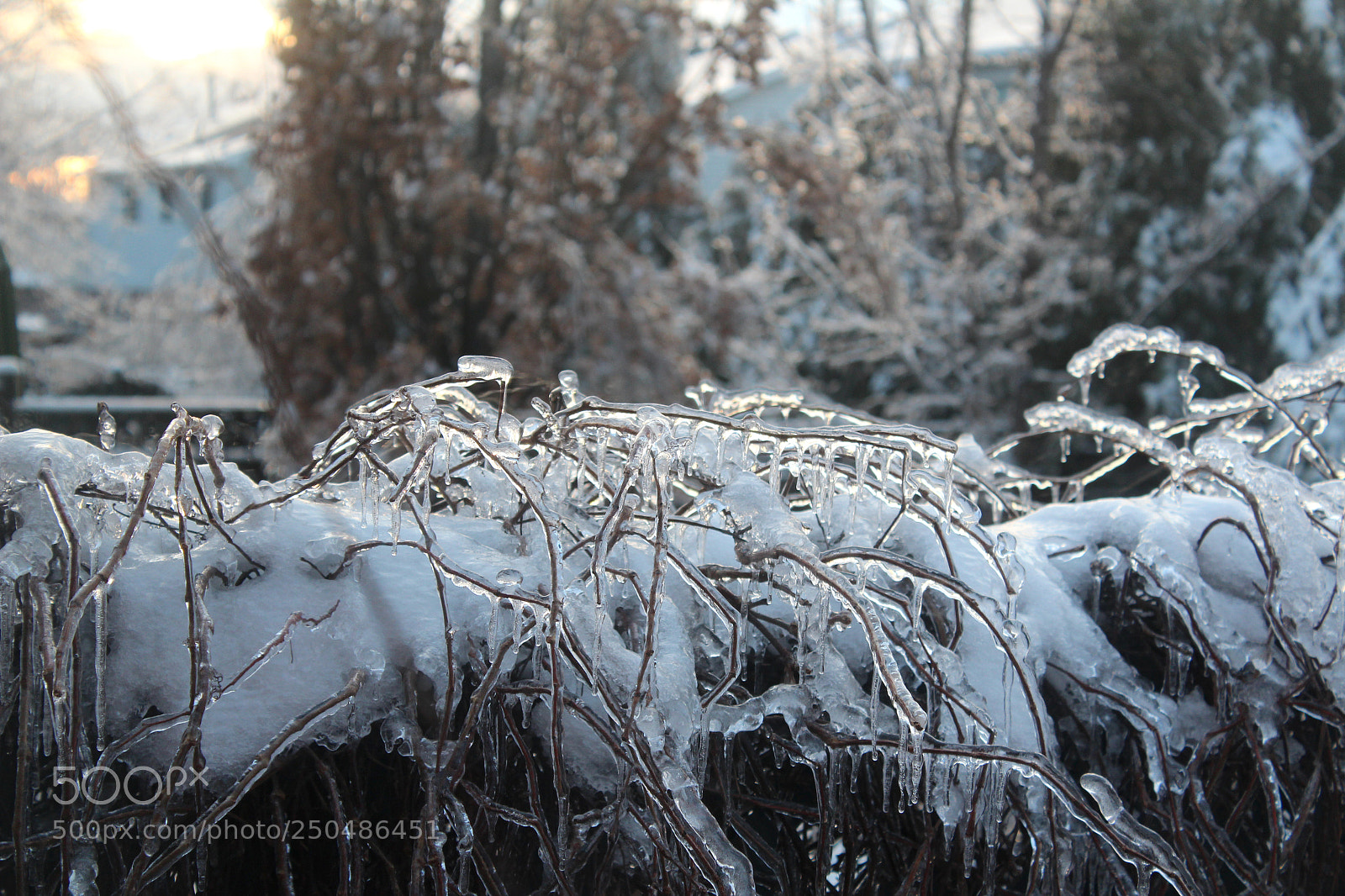 Canon EOS 1200D (EOS Rebel T5 / EOS Kiss X70 / EOS Hi) sample photo. Ice cold photography