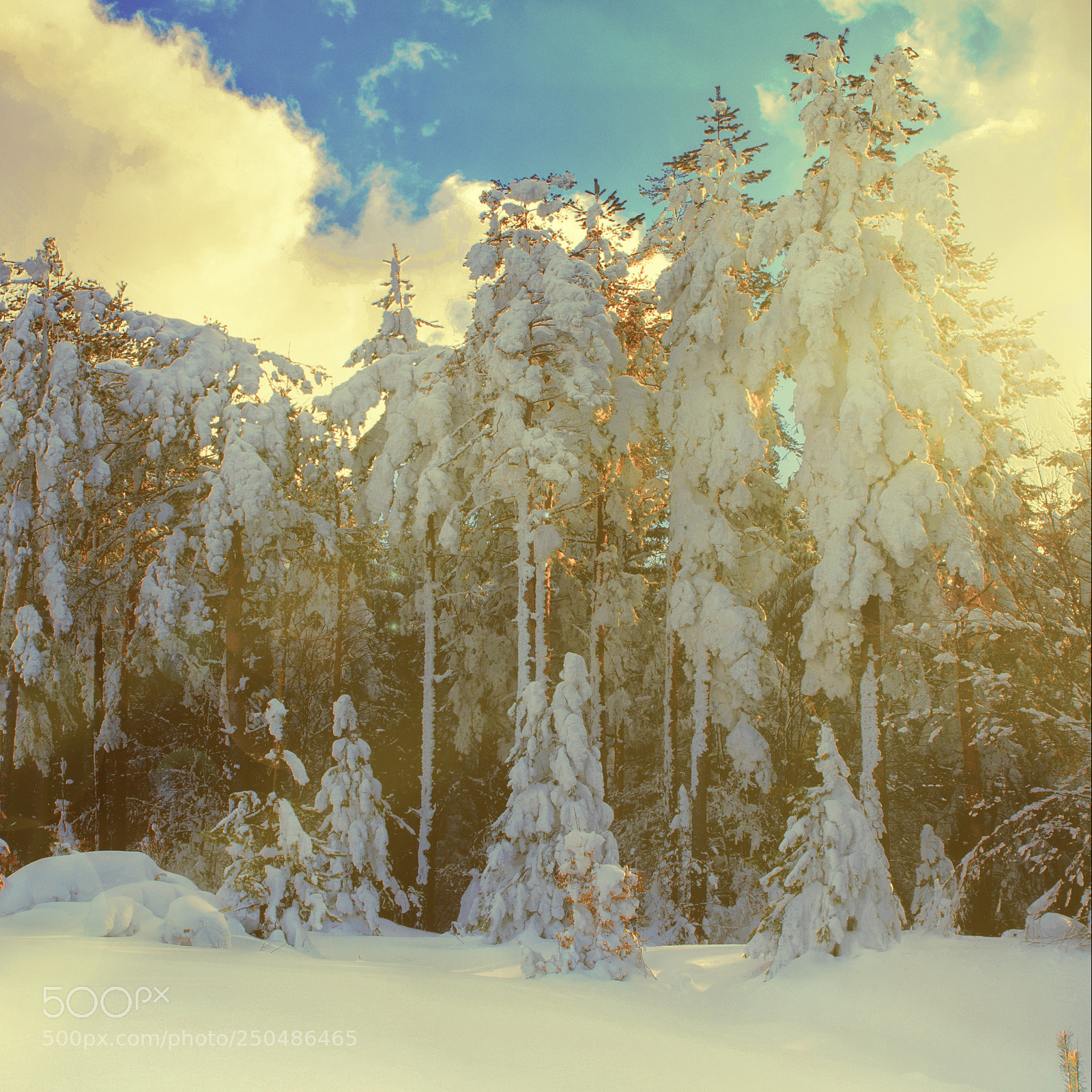 Nikon D300 sample photo. Sunrise on mountain photography