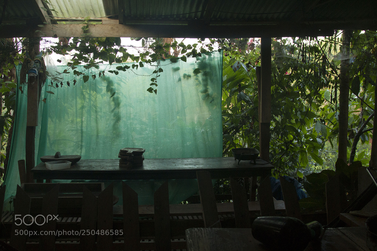 Canon EOS 7D sample photo. Early riser photography