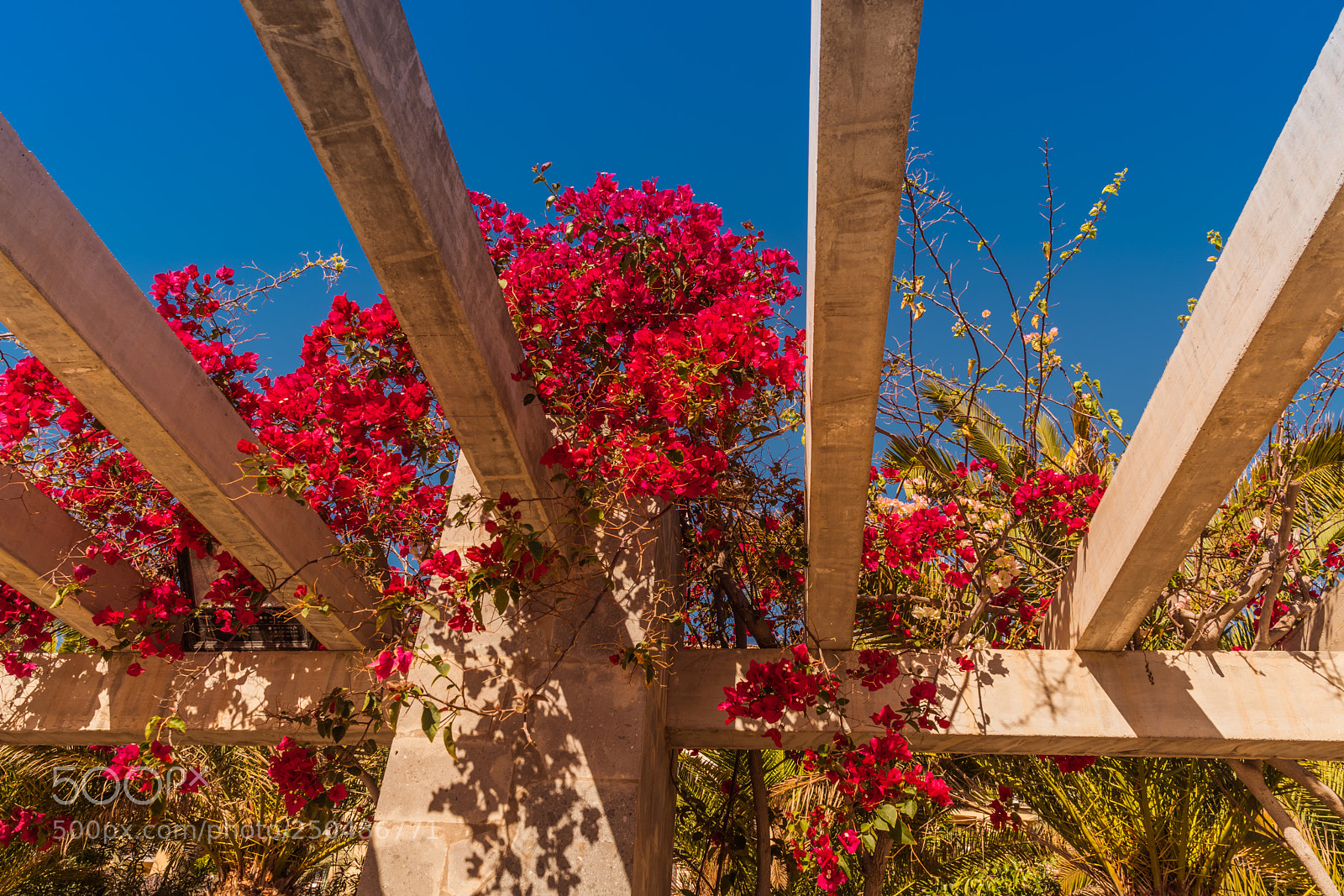 Nikon D500 sample photo. Maspalomas, grand canaria spain photography