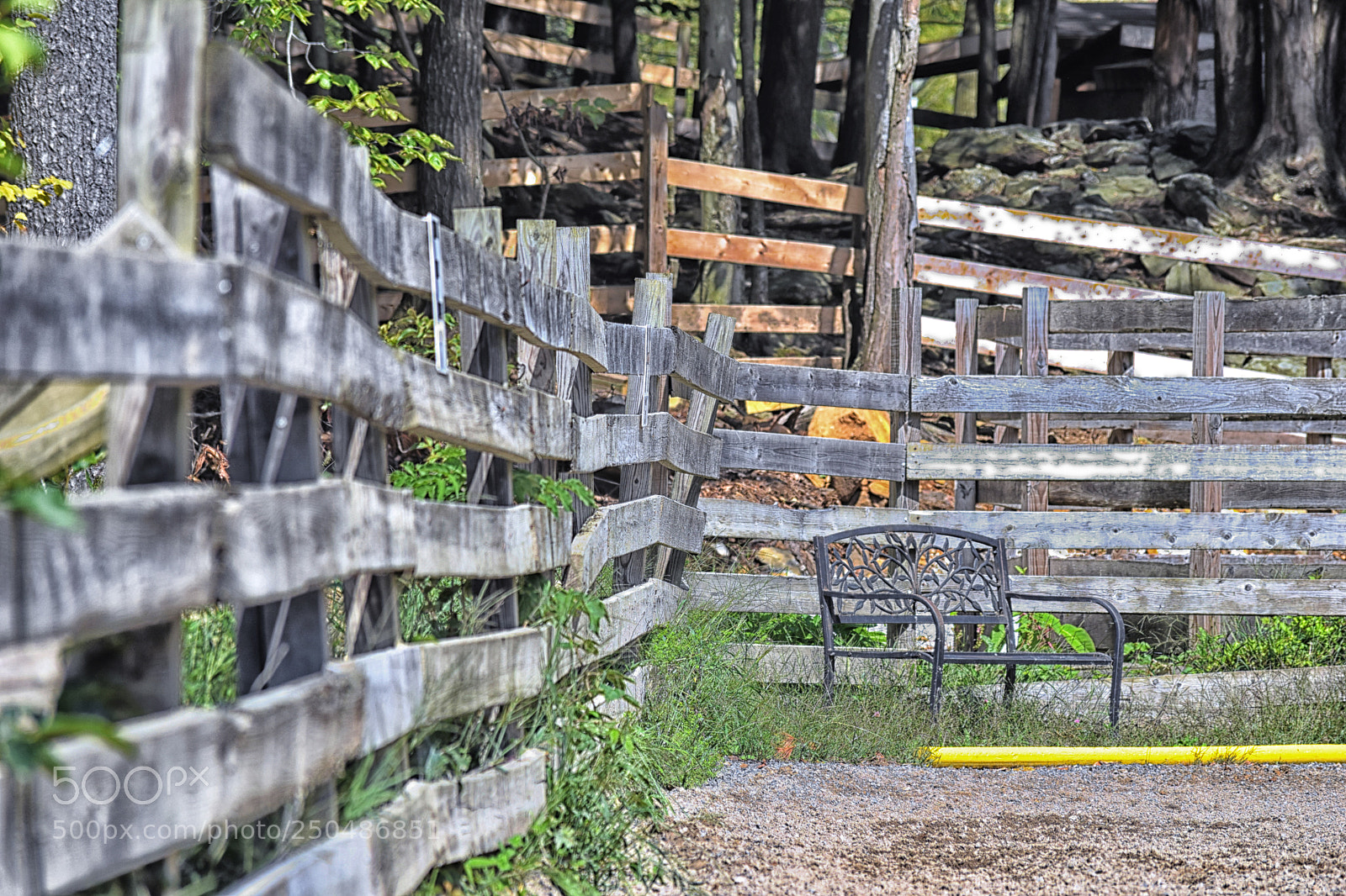 Nikon D3300 sample photo. Fence photography