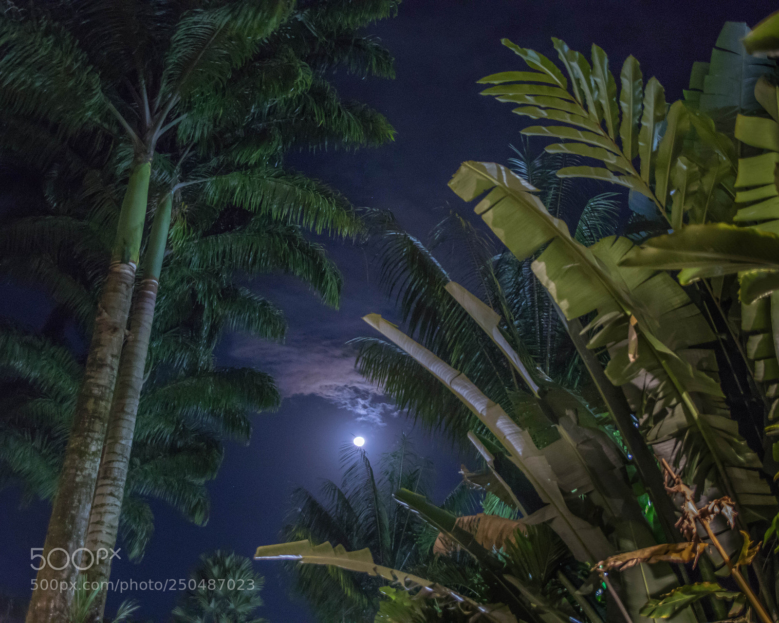 Canon EOS 6D Mark II sample photo. Night in la fortuna photography