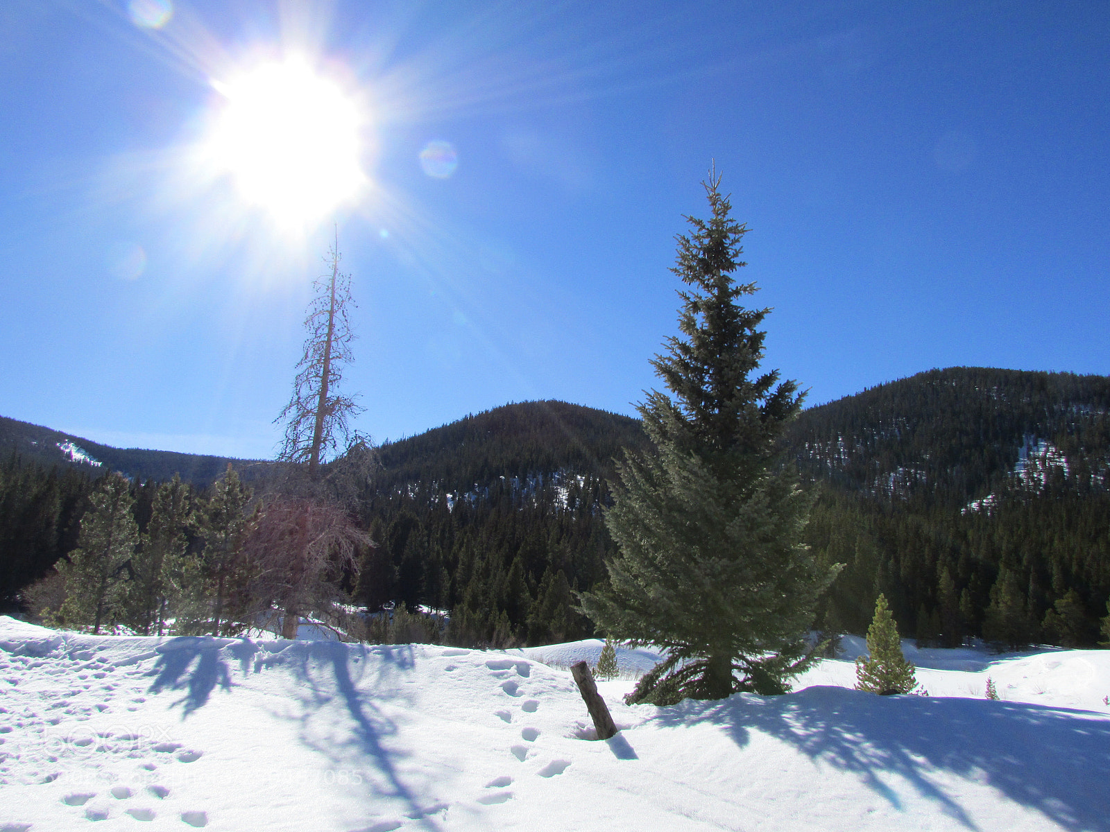 Canon PowerShot SX500 IS sample photo. Breckenridge, colorado photography