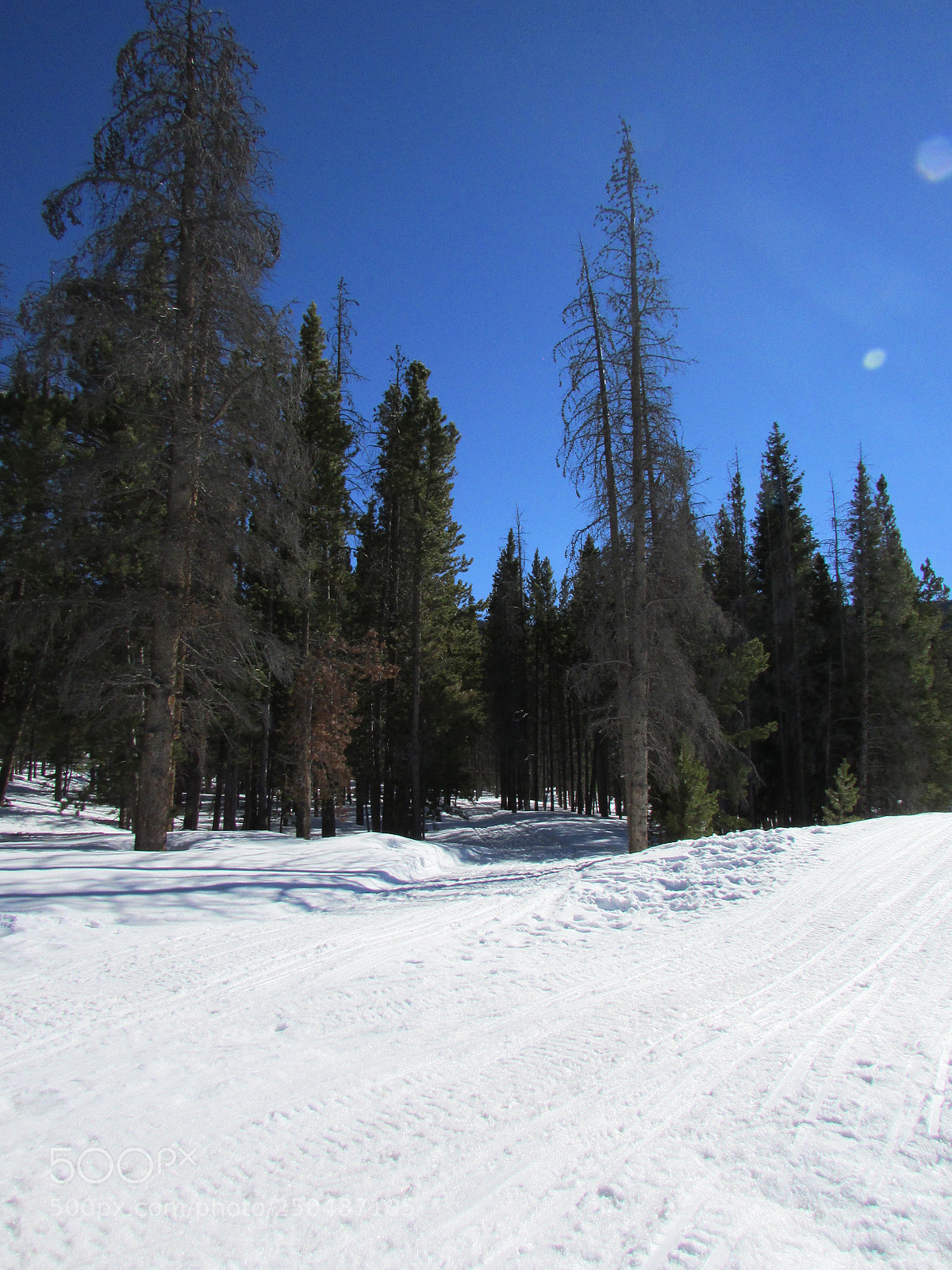 Canon PowerShot SX500 IS sample photo. Breckenridge, colorado photography