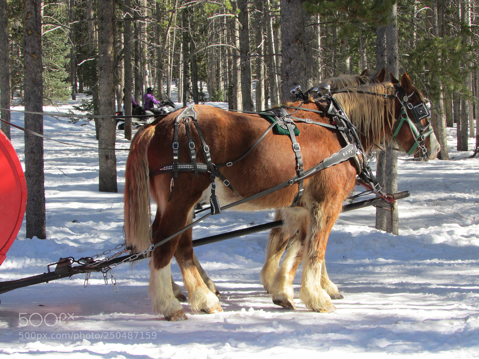 Canon PowerShot SX500 IS sample photo. Breckenridge, colorado photography