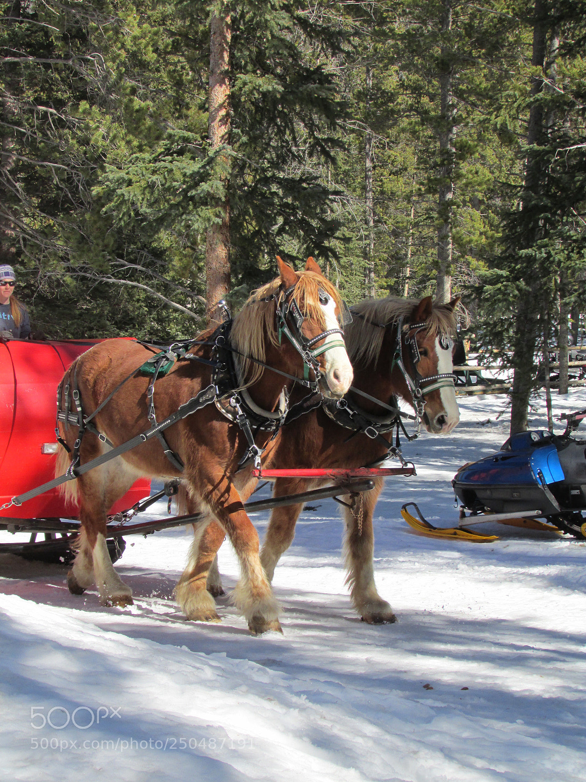 Canon PowerShot SX500 IS sample photo. Breckenridge, colorado photography