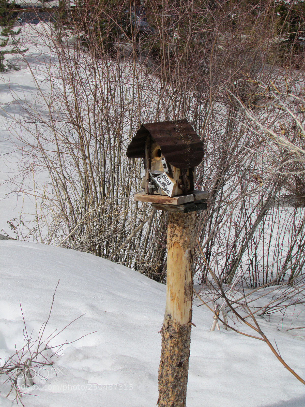 Canon PowerShot SX500 IS sample photo. Breckenridge, colorado photography