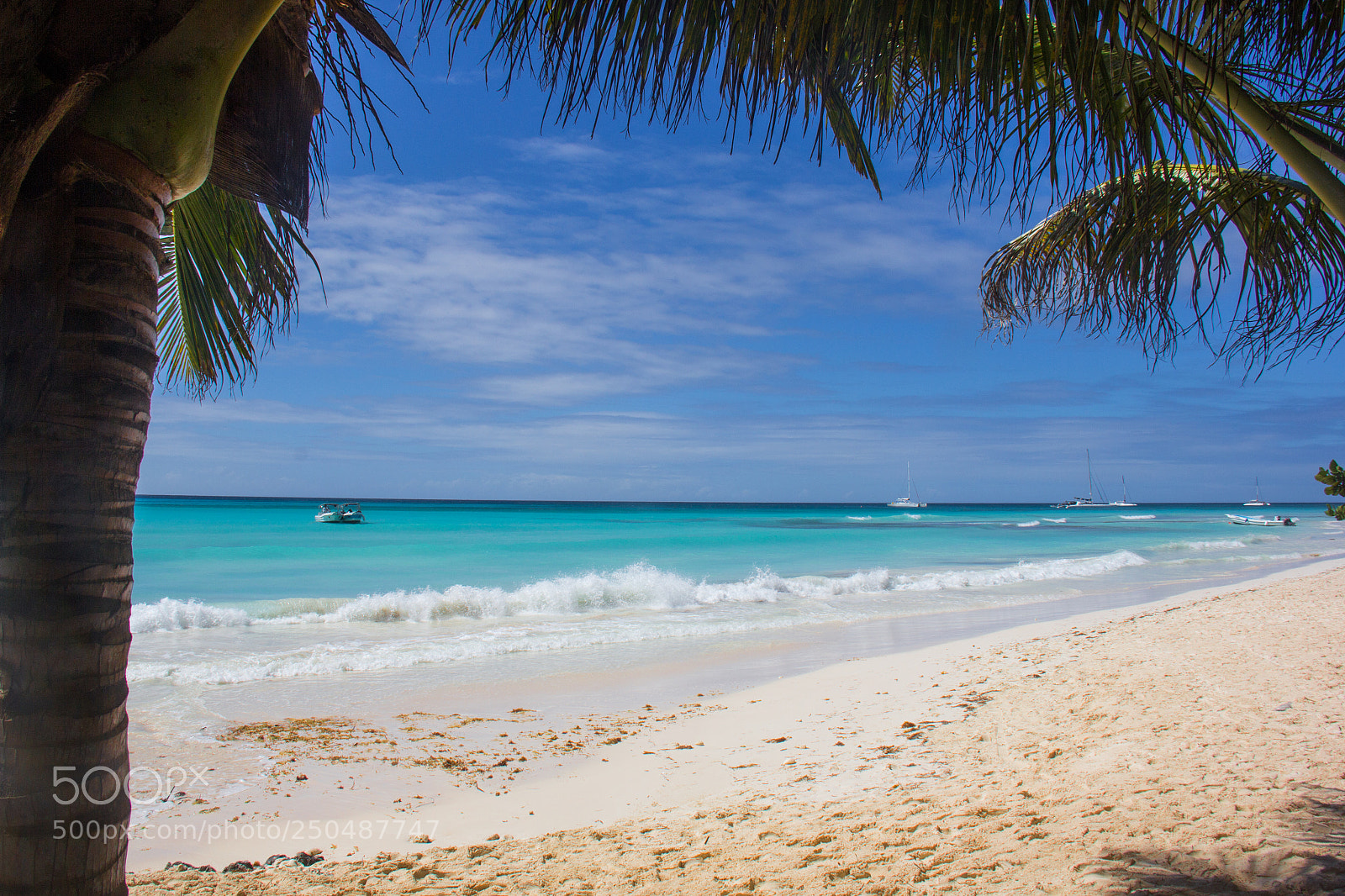 Canon EOS 60D sample photo. A day in paradise photography