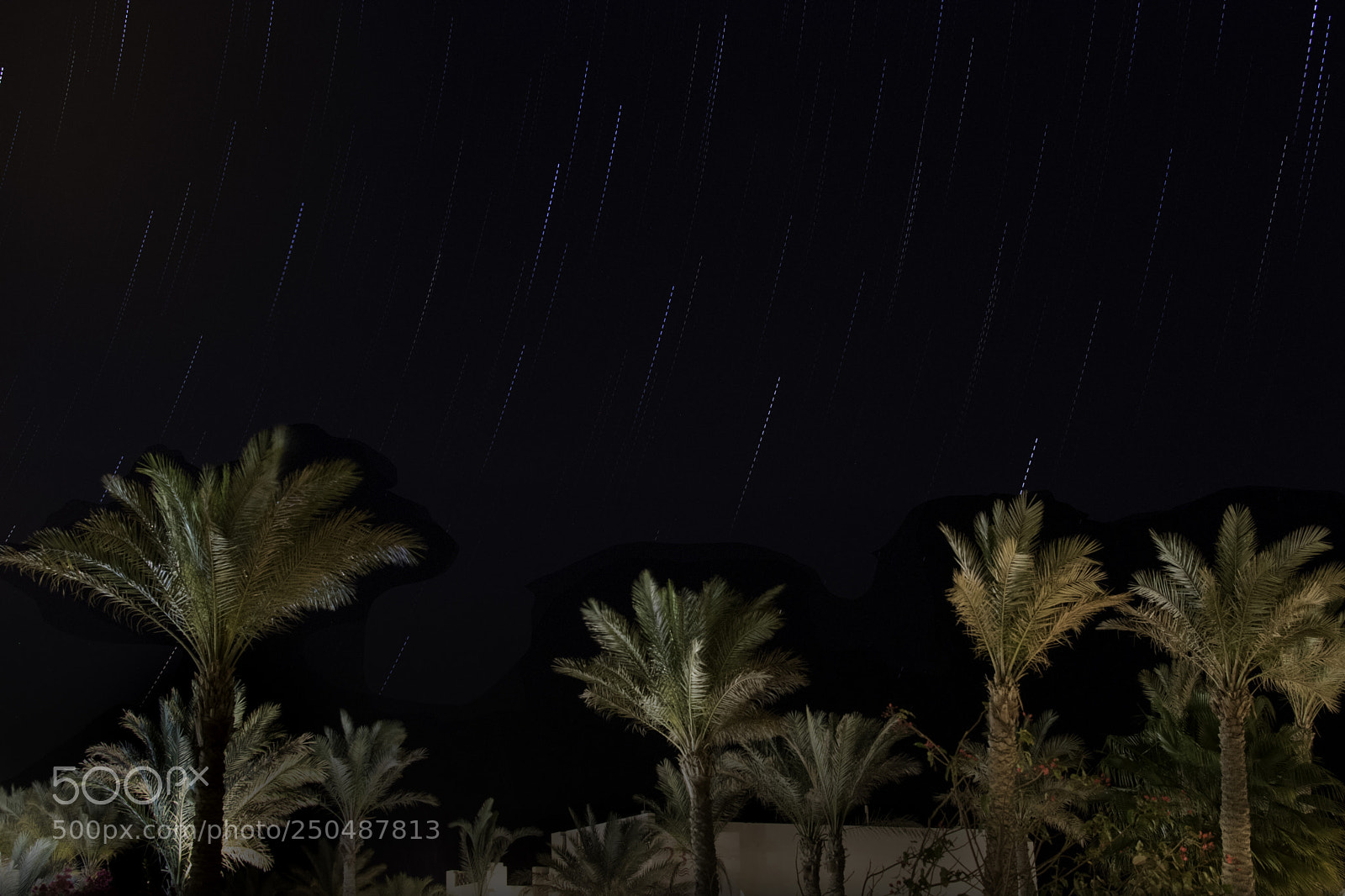 Nikon D5500 sample photo. First star trail photography
