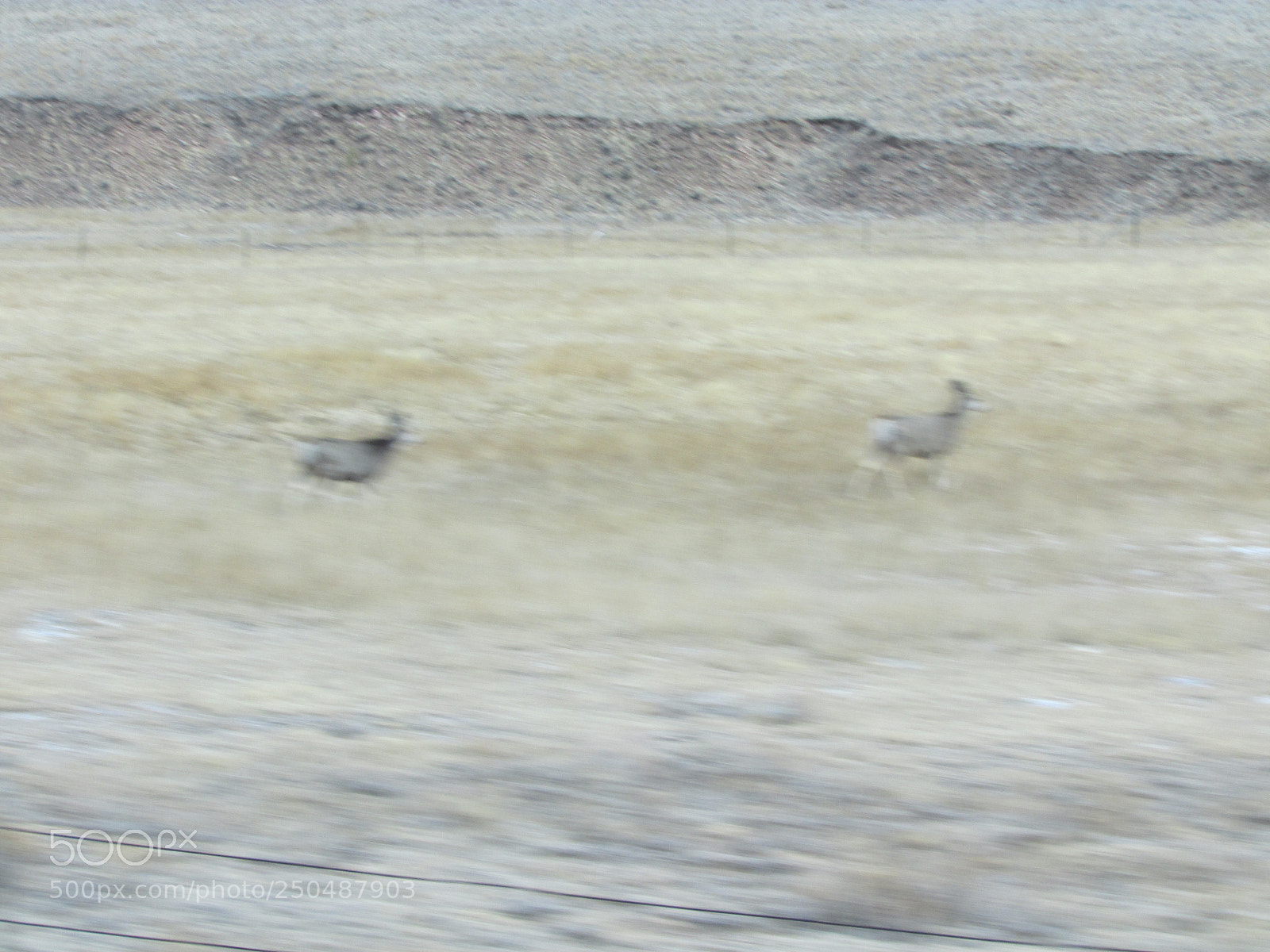 Canon PowerShot SX500 IS sample photo. Dallas to colorado trip photography