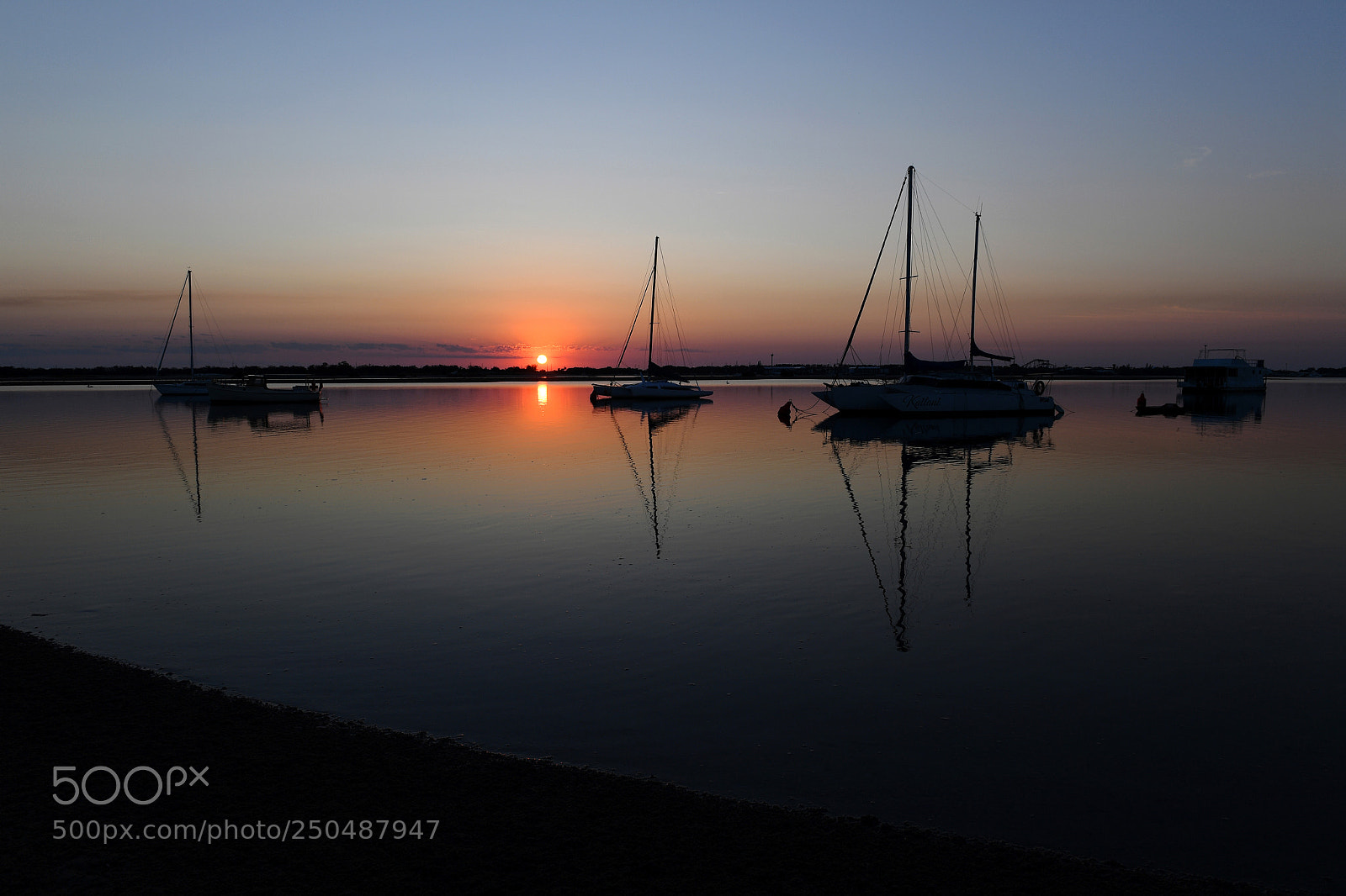 Nikon D5 sample photo. Labrador broadwater. gold coast photography