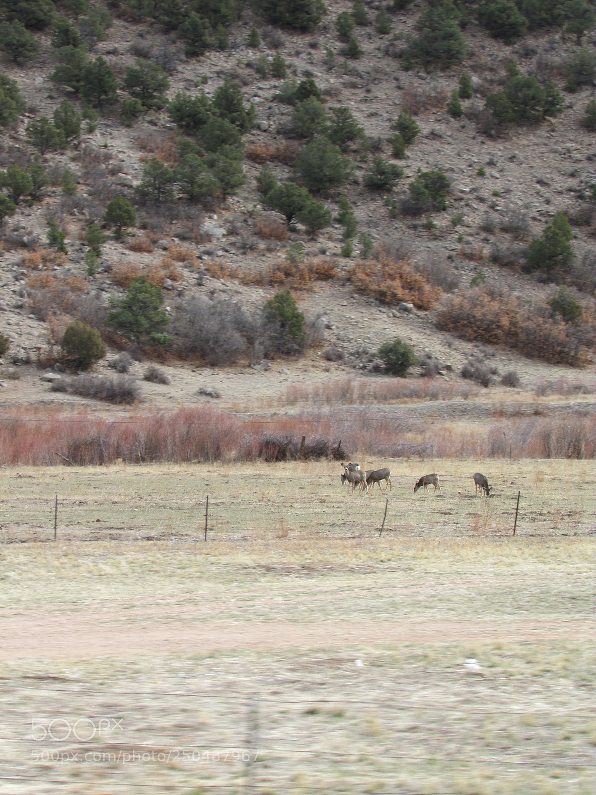 Canon PowerShot SX500 IS sample photo. Dallas to colorado trip photography