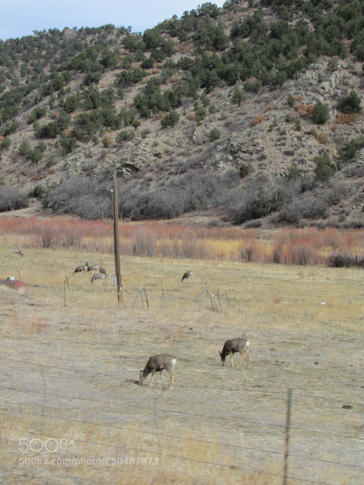 Canon PowerShot SX500 IS sample photo. Dallas to colorado trip photography