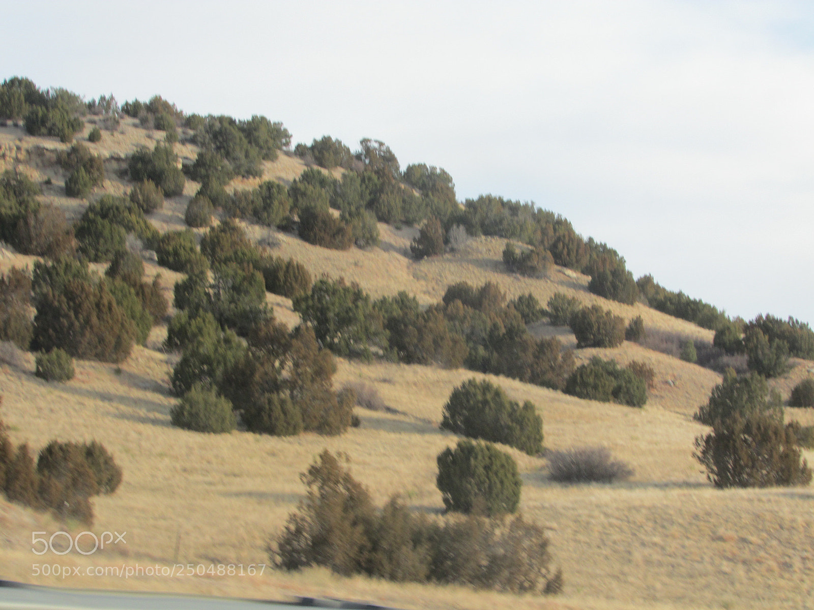 Canon PowerShot SX500 IS sample photo. Dallas to colorado trip photography