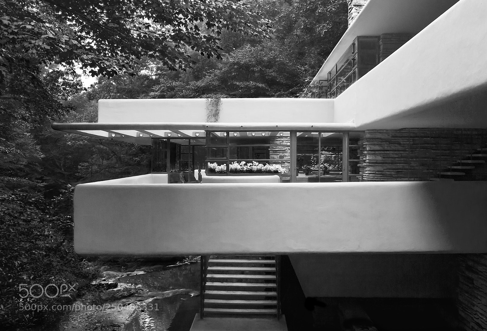 Nikon D700 sample photo. Living in nature photography