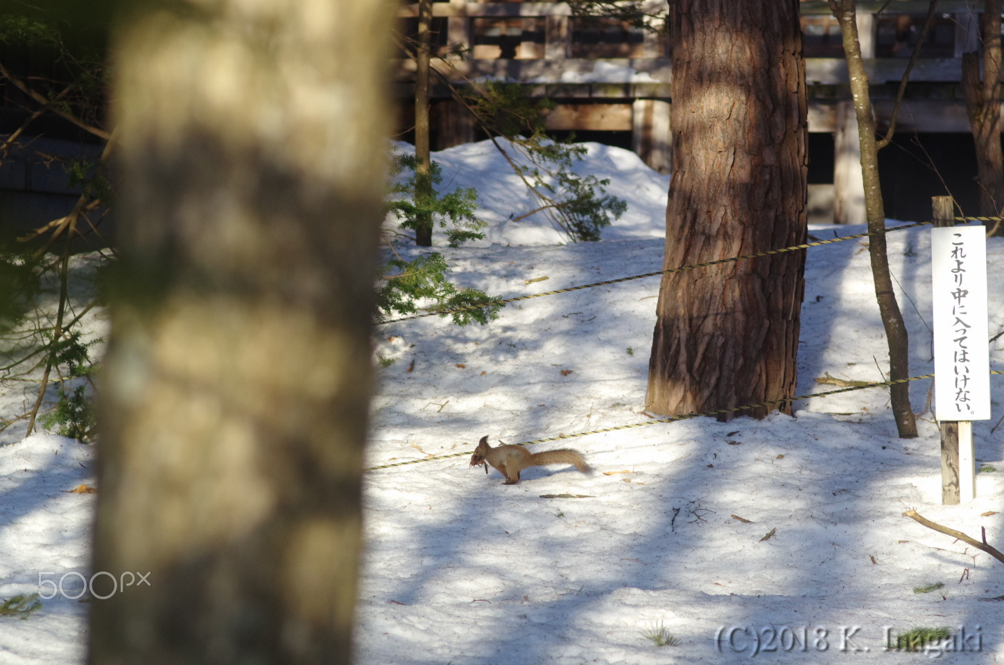 Pentax smc FA 77mm 1.8 Limited sample photo. Do not enter photography