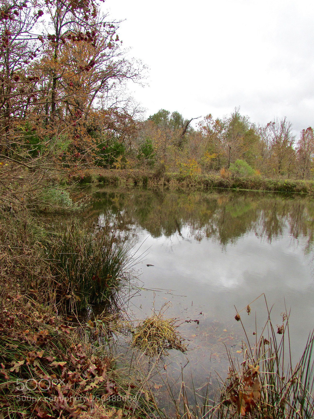 Canon PowerShot SX500 IS sample photo. Direct, texas photography