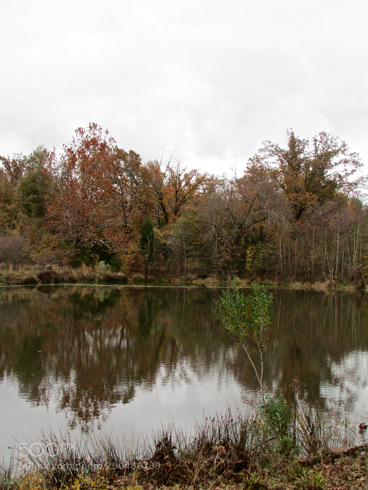 Canon PowerShot SX500 IS sample photo. Direct, texas photography