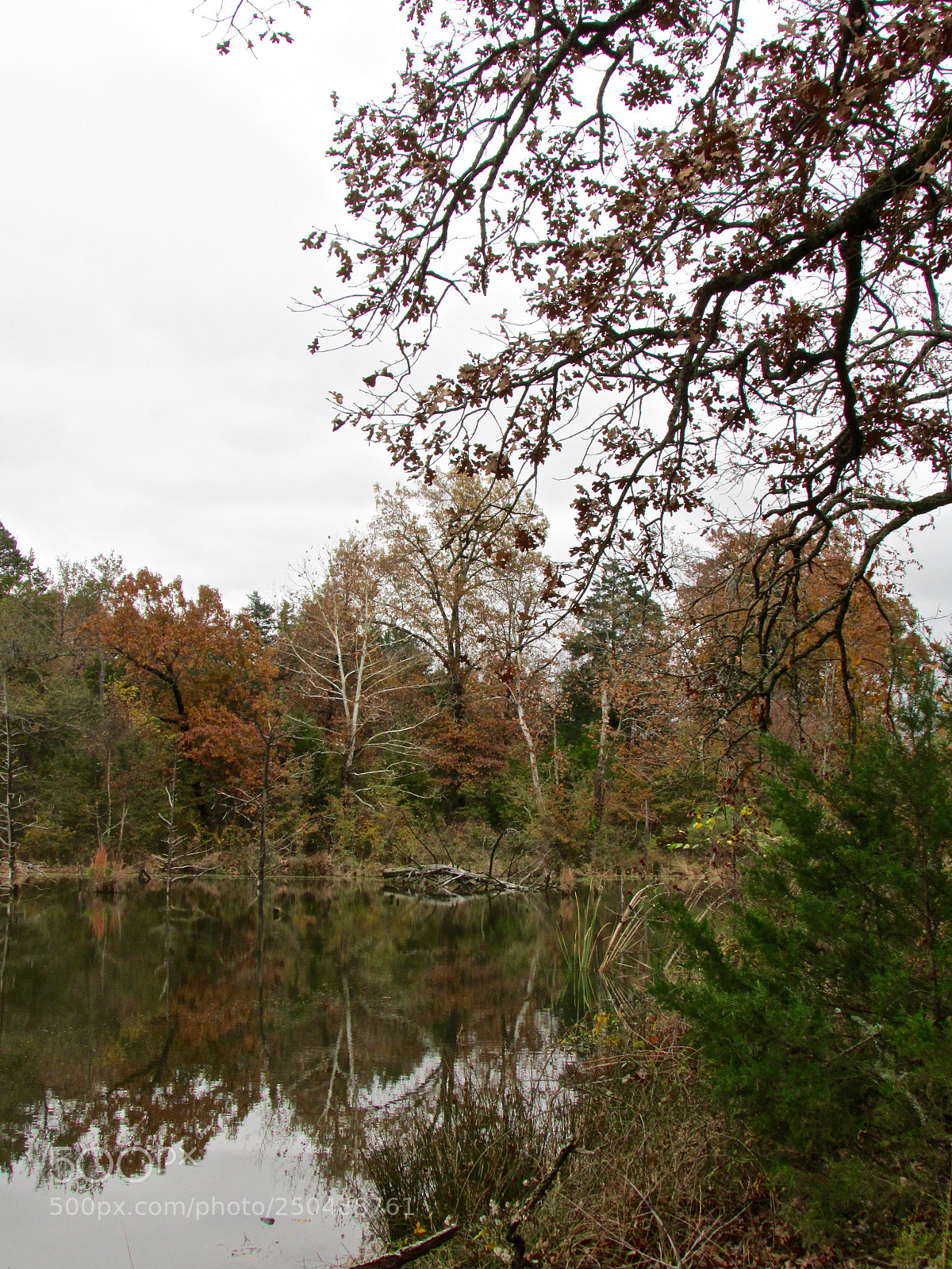 Canon PowerShot SX500 IS sample photo. Direct, texas photography