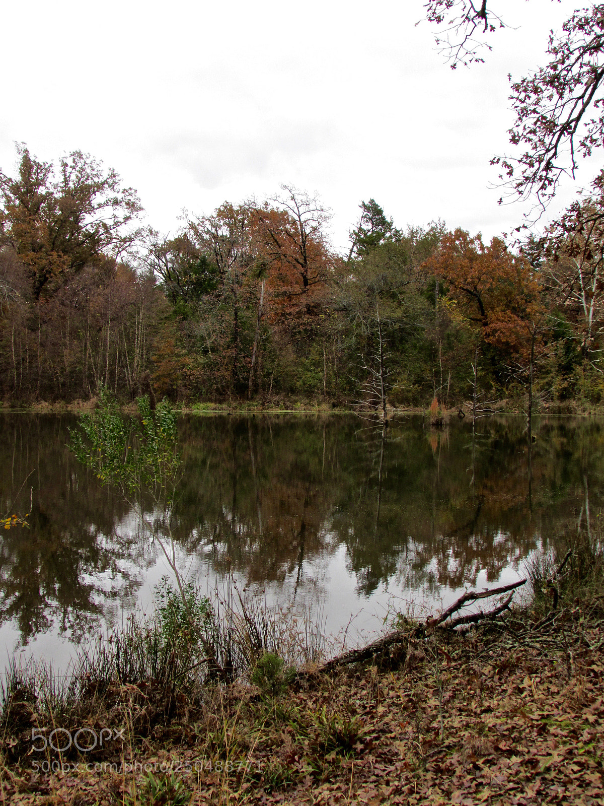 Canon PowerShot SX500 IS sample photo. Direct, texas photography