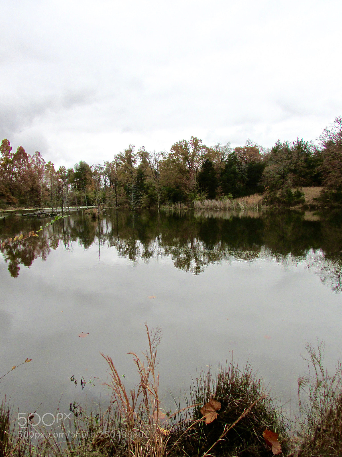 Canon PowerShot SX500 IS sample photo. Direct, texas photography
