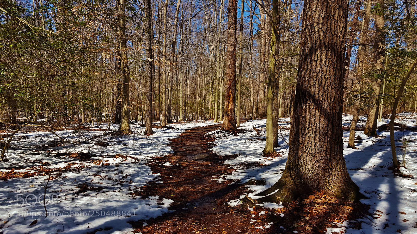 Samsung Galaxy S6 sample photo. Valley trail winter scene 2018 photography