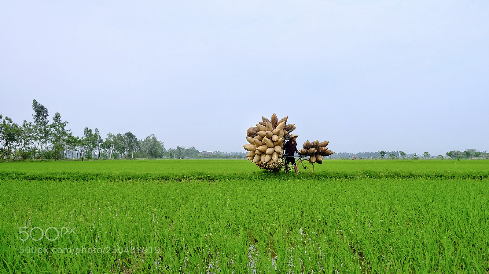 Fujifilm X-T20 sample photo. Untitled photography