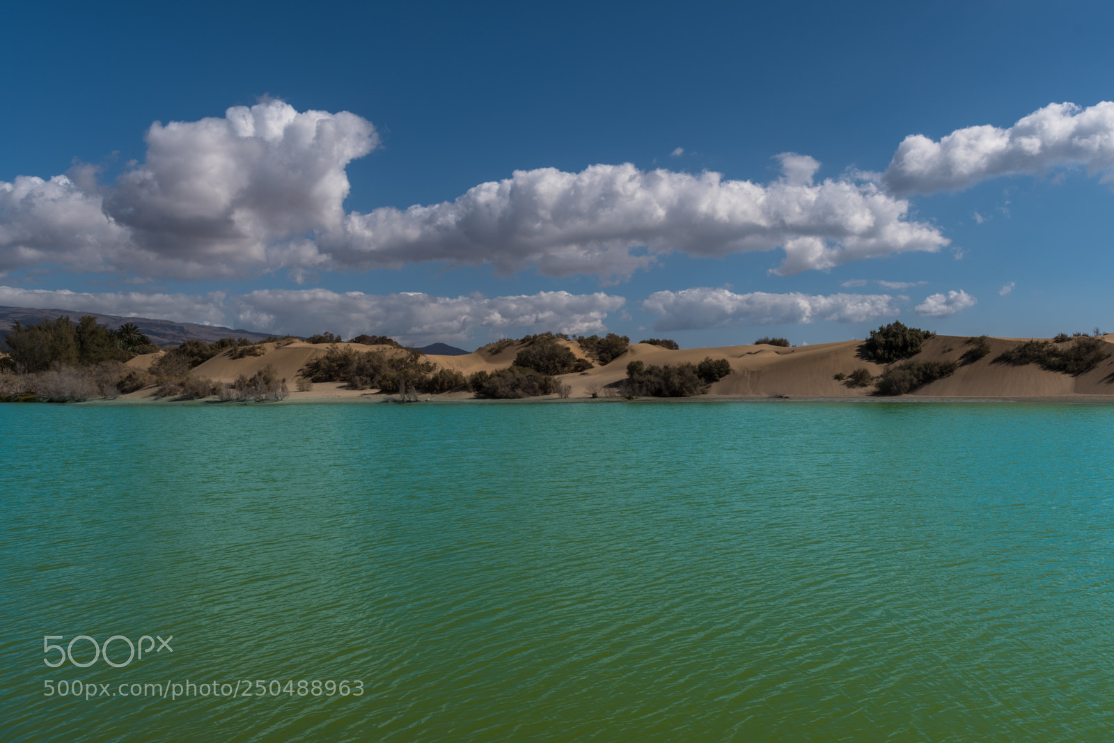 Nikon D500 sample photo. Maspalomas, grand canaria spain photography