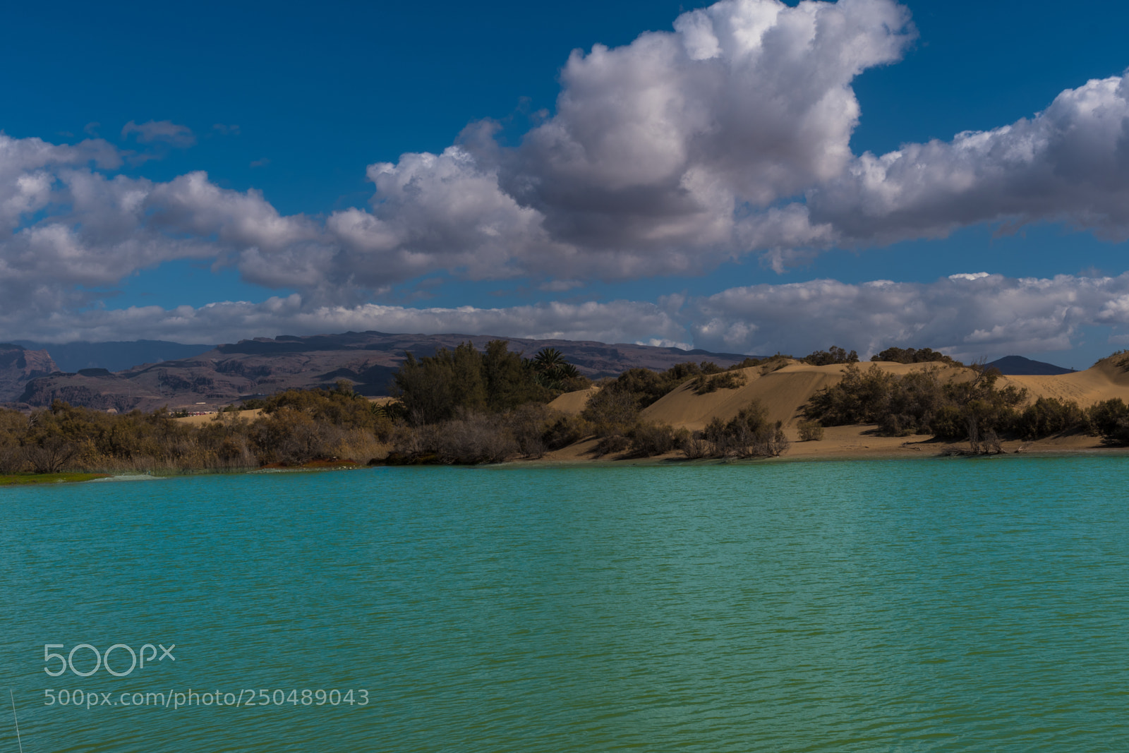Nikon D500 sample photo. Maspalomas, grand canaria spain photography