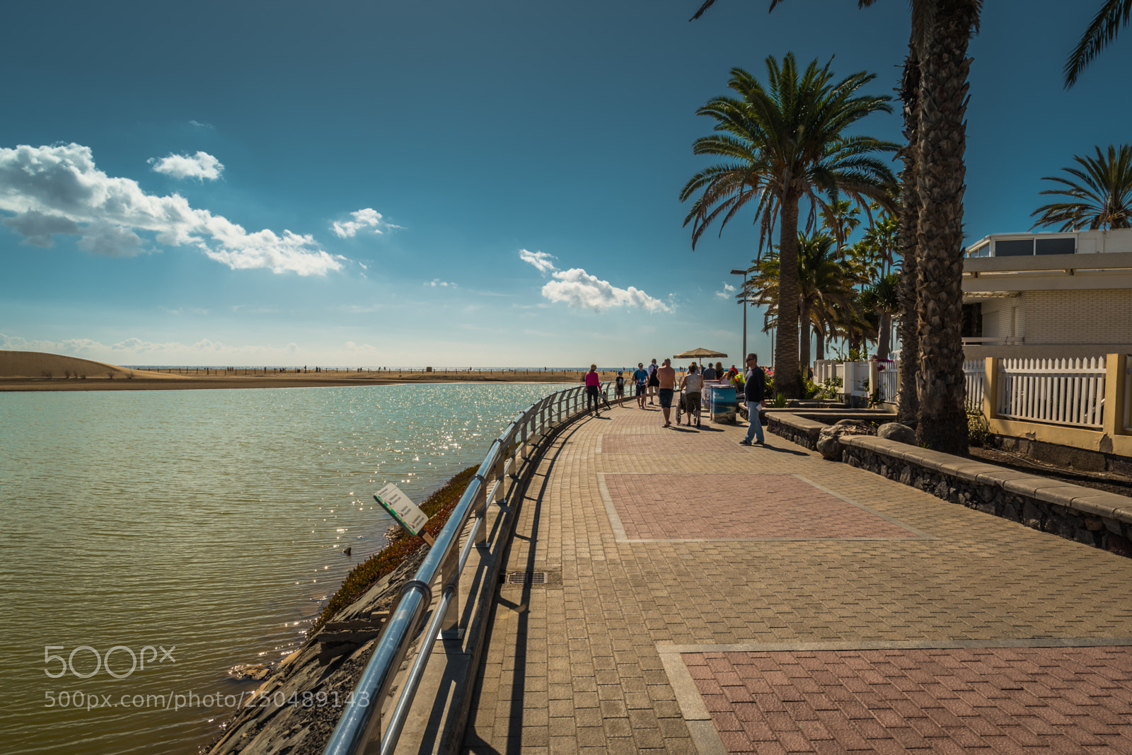 Nikon D500 sample photo. Maspalomas, grand canaria spain photography